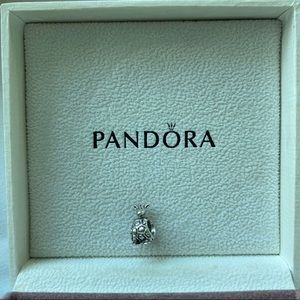 Retired Giraffe 925 Authentic Silver Charm